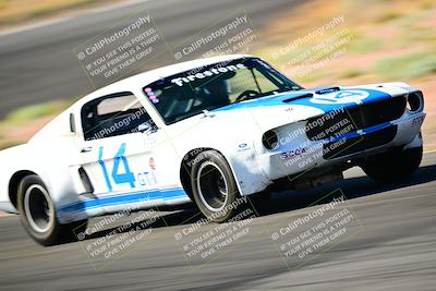 media/May-11-2025-Cobra Club (Sun) [[44ca44ec33]]/Yellow Group/Session 1 (Turn 3-Outside)/